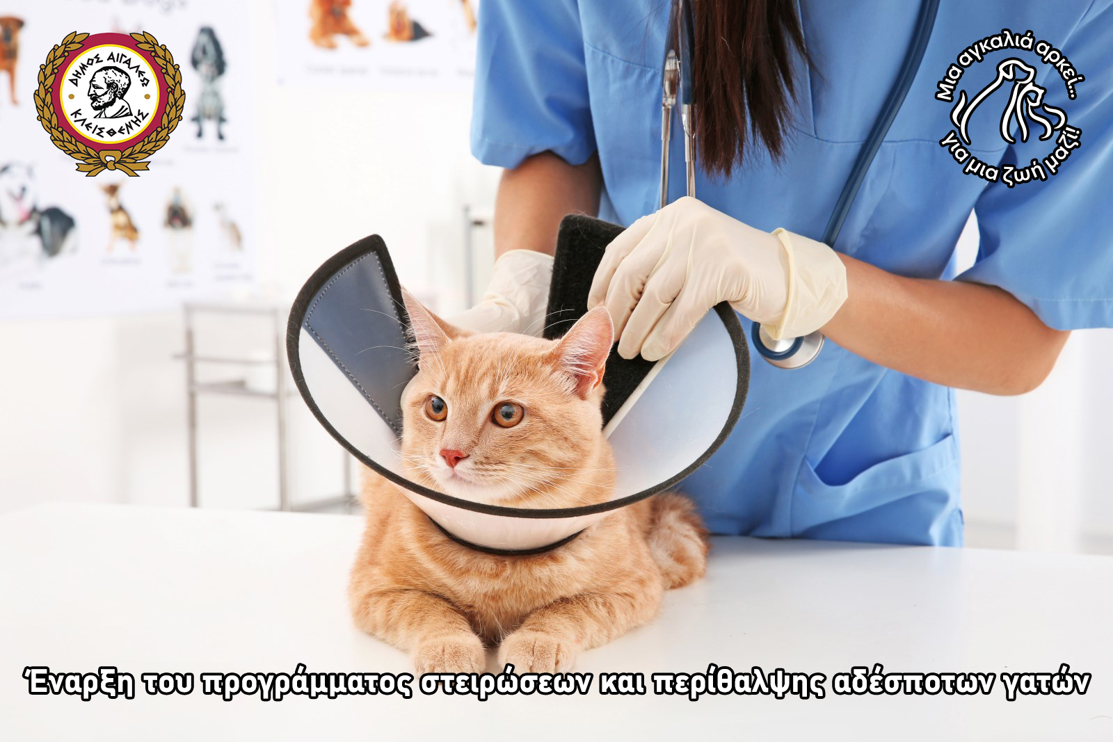 τθκτ