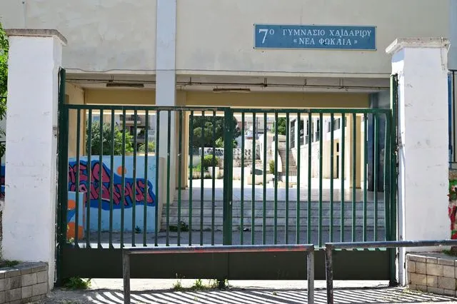  bvdg