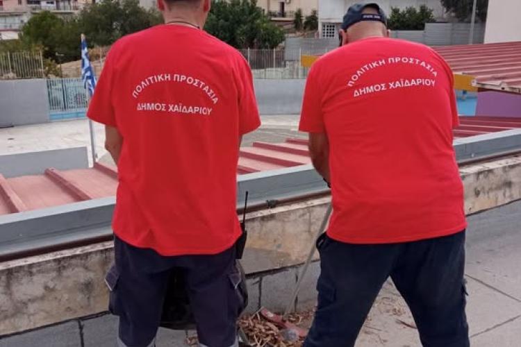 ηκθυκ